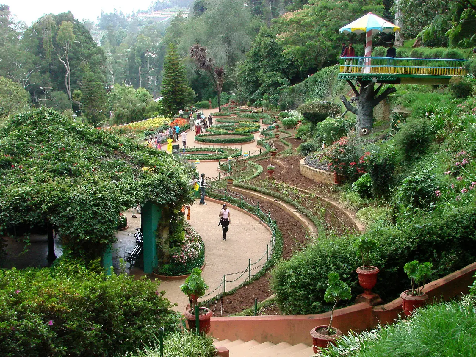 Terraced flower beds in the Government Botanical Garden, Ooty