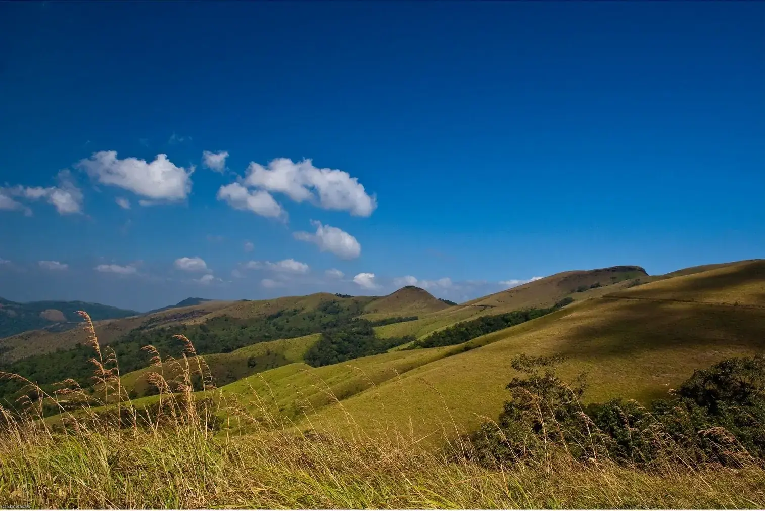 Grassland hills near Kemmangundi, Chikkamagaluru district, Karnataka