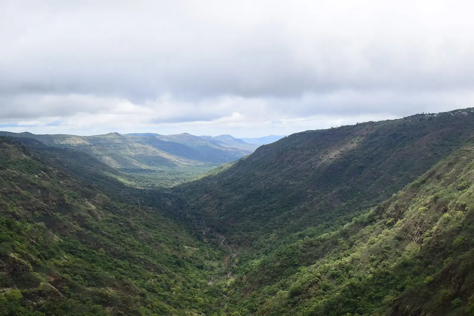 A forested valley below Mahabaleshwar, Maharashtra
