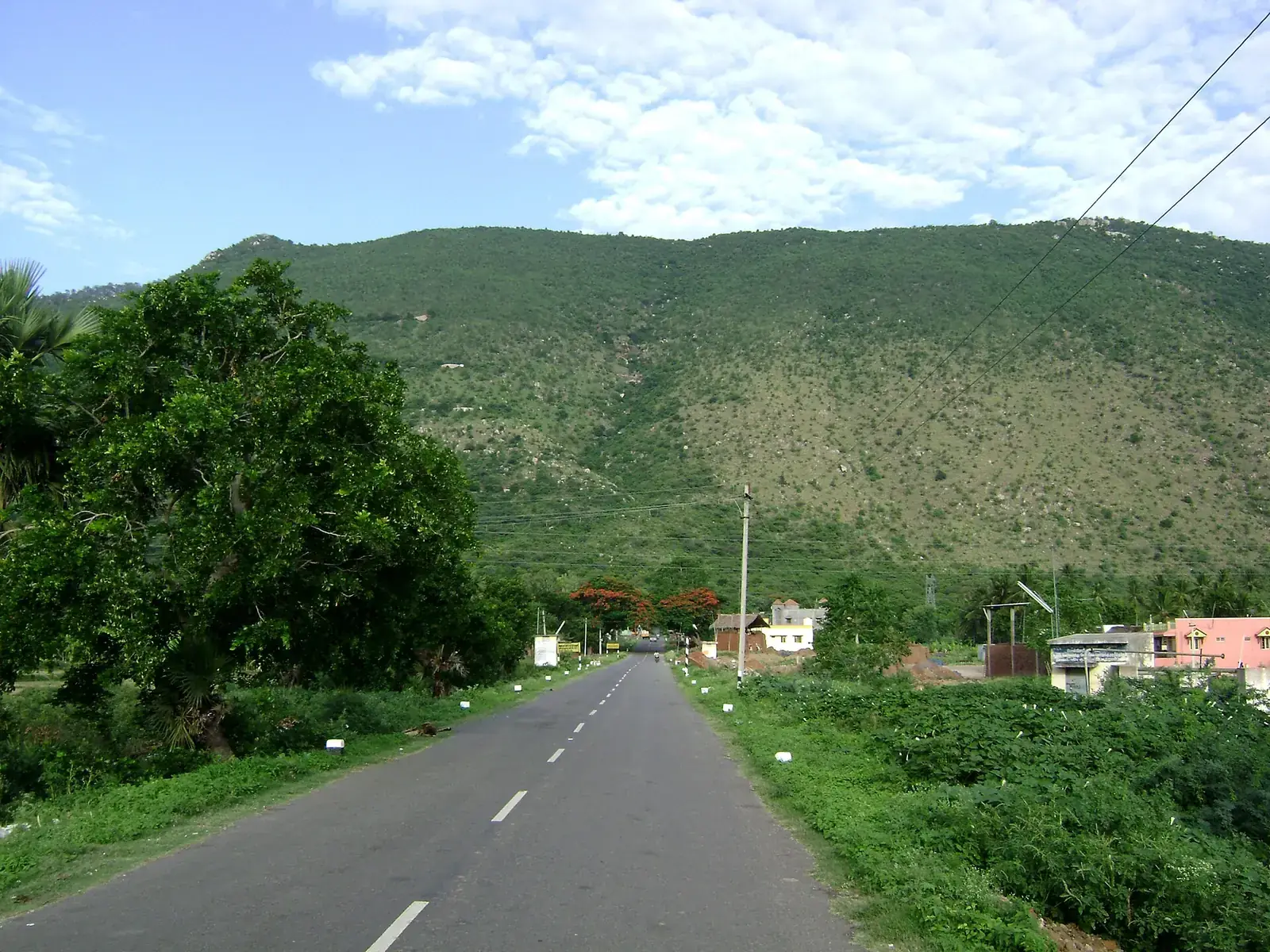 The road into the Yelagiri hills, Tamil Nadu