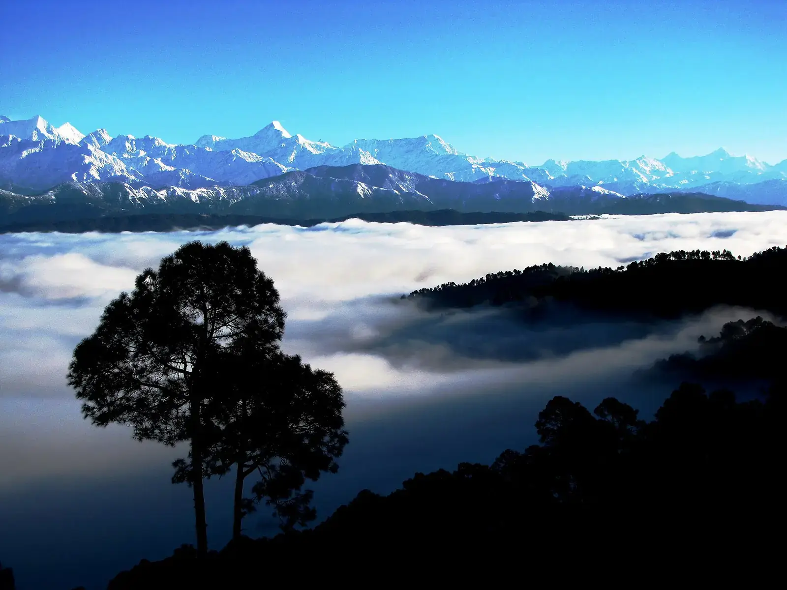 The Kumaon Himalaya seen above a sea of clouds from Kausani