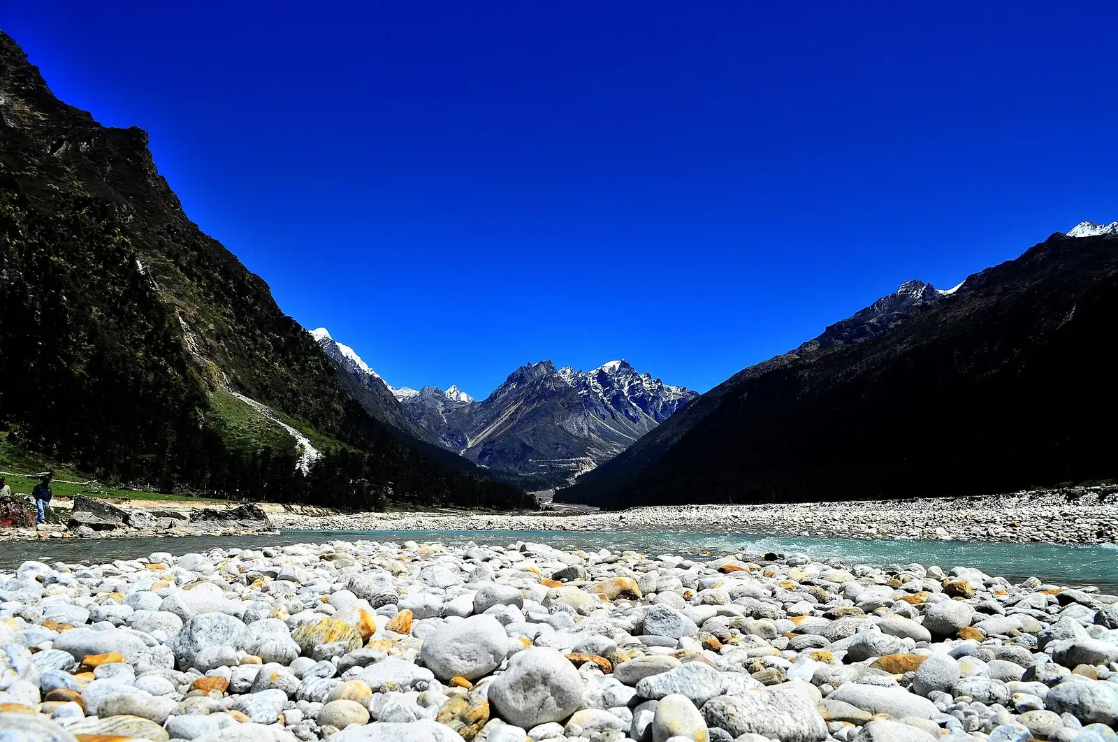 The Yumthang valley in North Sikkim