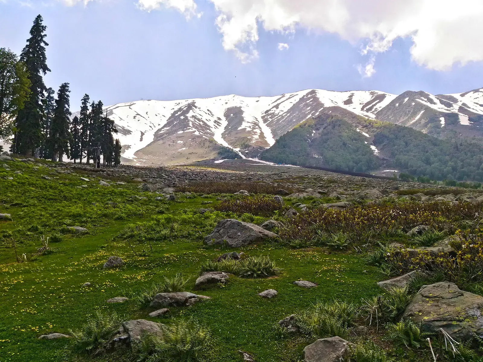 Green meadows below the snow-streaked Apharwat range near Gulmarg
