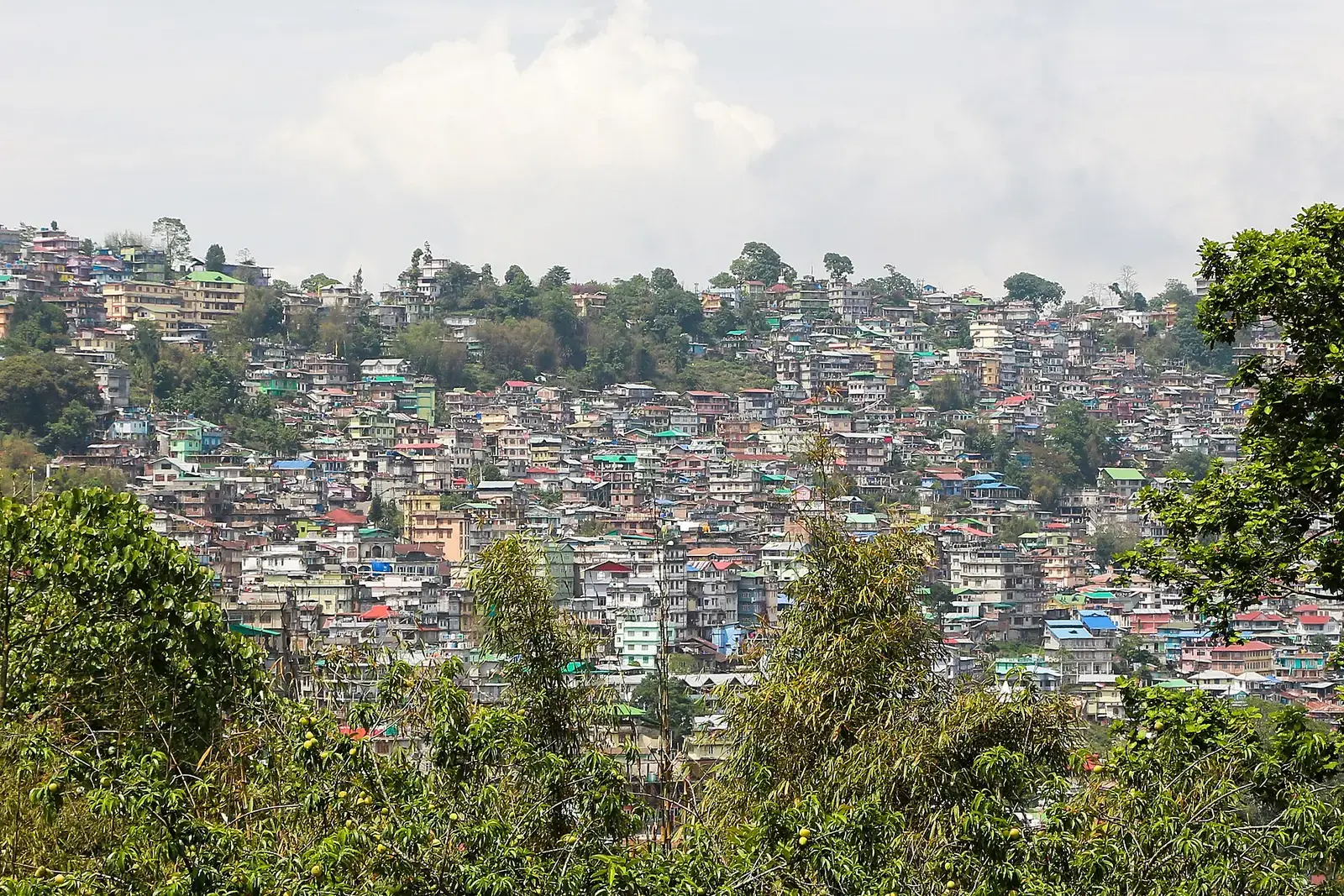 Kalimpong town spread across its ridge, West Bengal