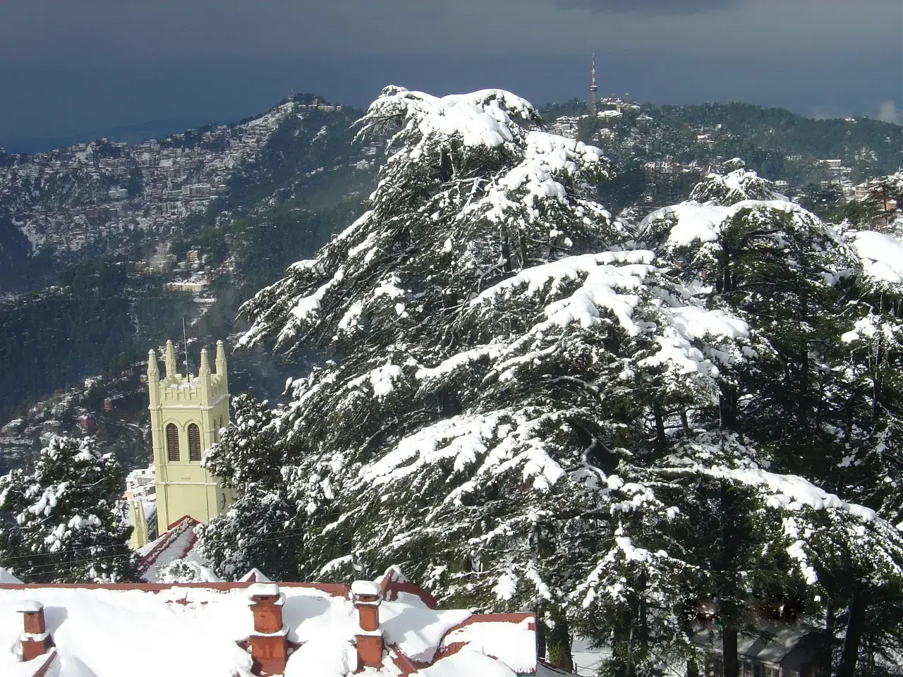 Snow on the trees and Christ Church in Shimla