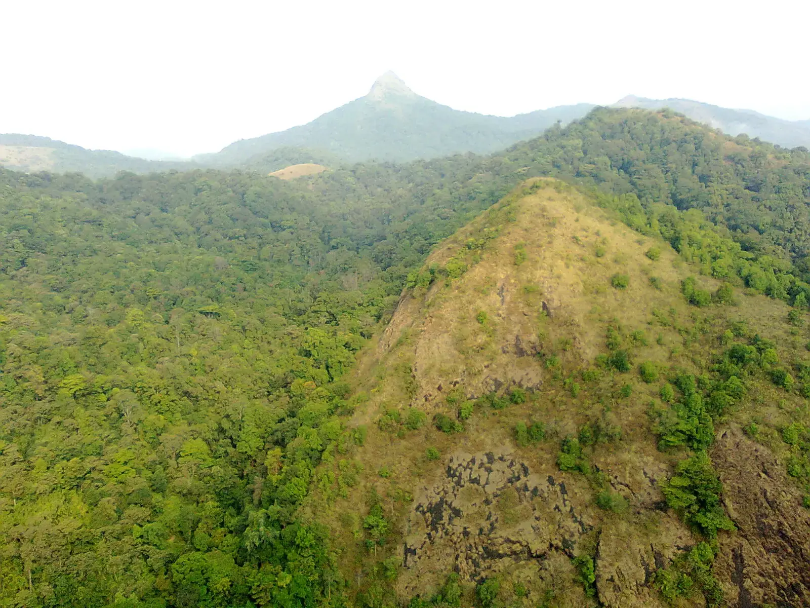 Evergreen forest on the hills of Silent Valley National Park, Kerala