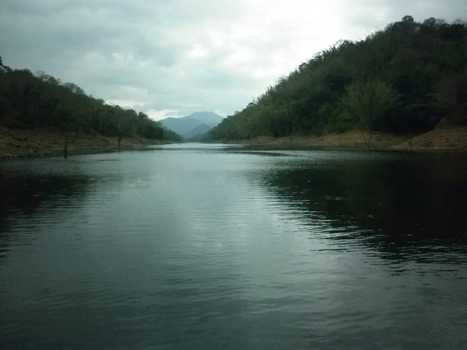 Periyar Lake at Thekkady, Periyar Tiger Reserve, Kerala
