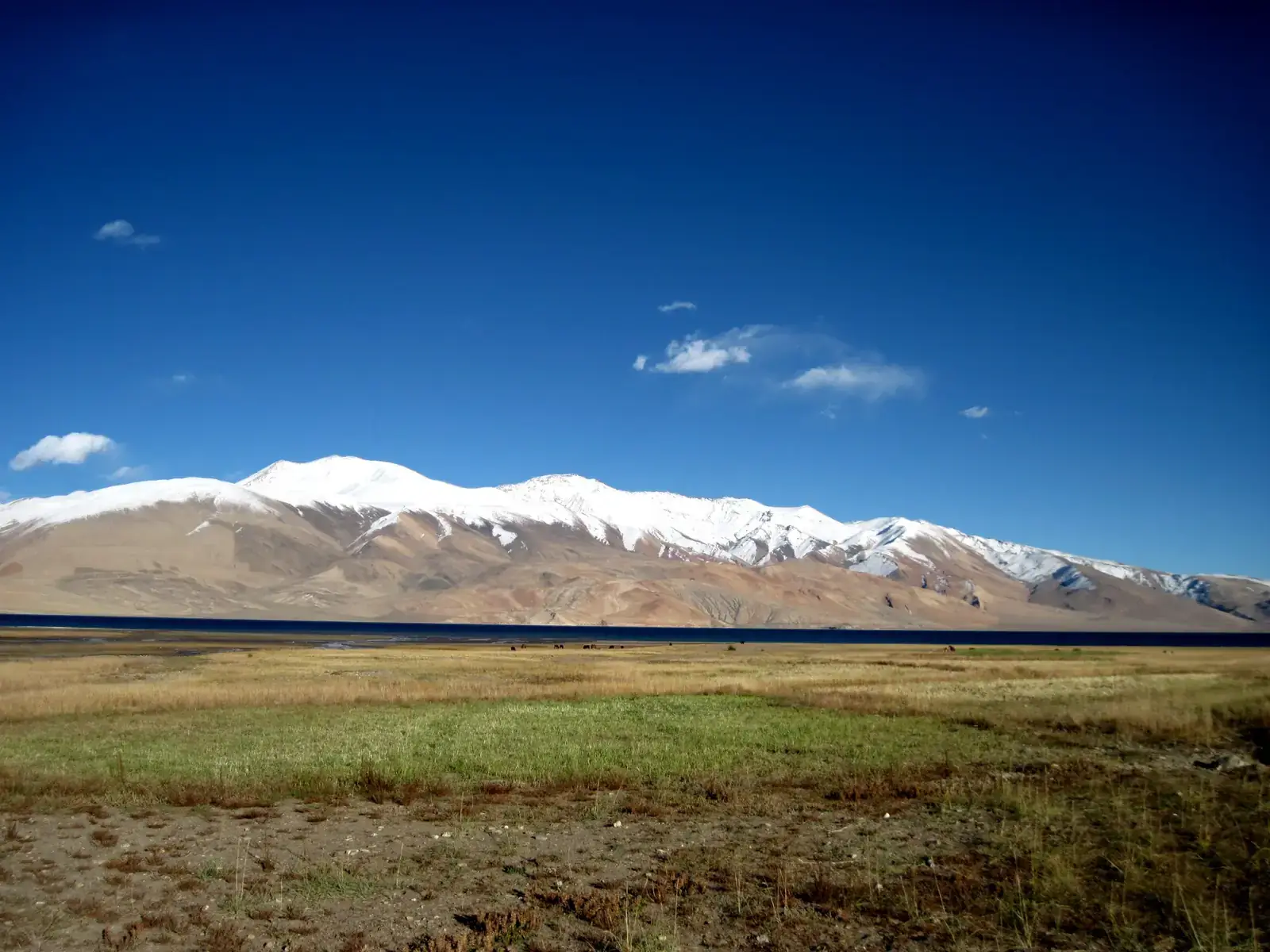 Tso Moriri and the Changthang grasslands, Ladakh