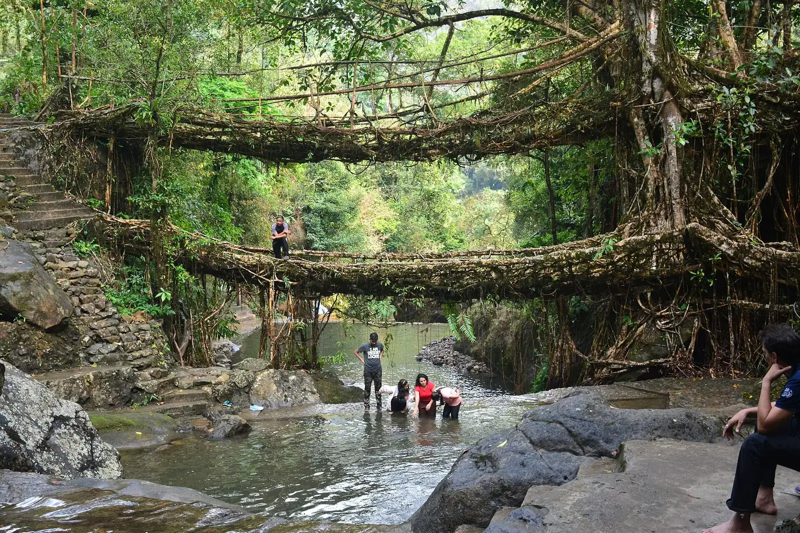 The double-decker living root bridge at Nongriat, Meghalaya