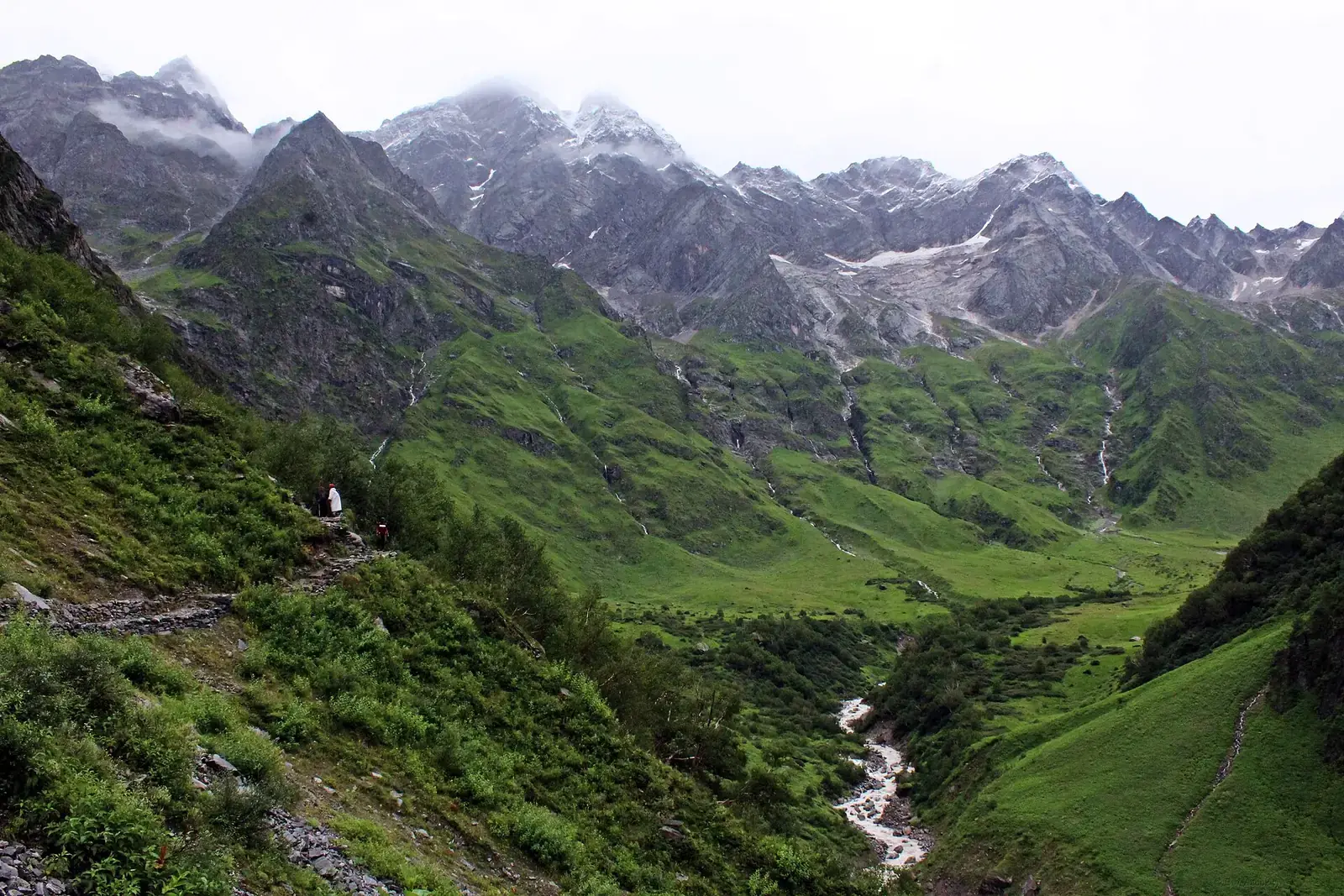 The Valley of Flowers below snow-streaked peaks, Uttarakhand