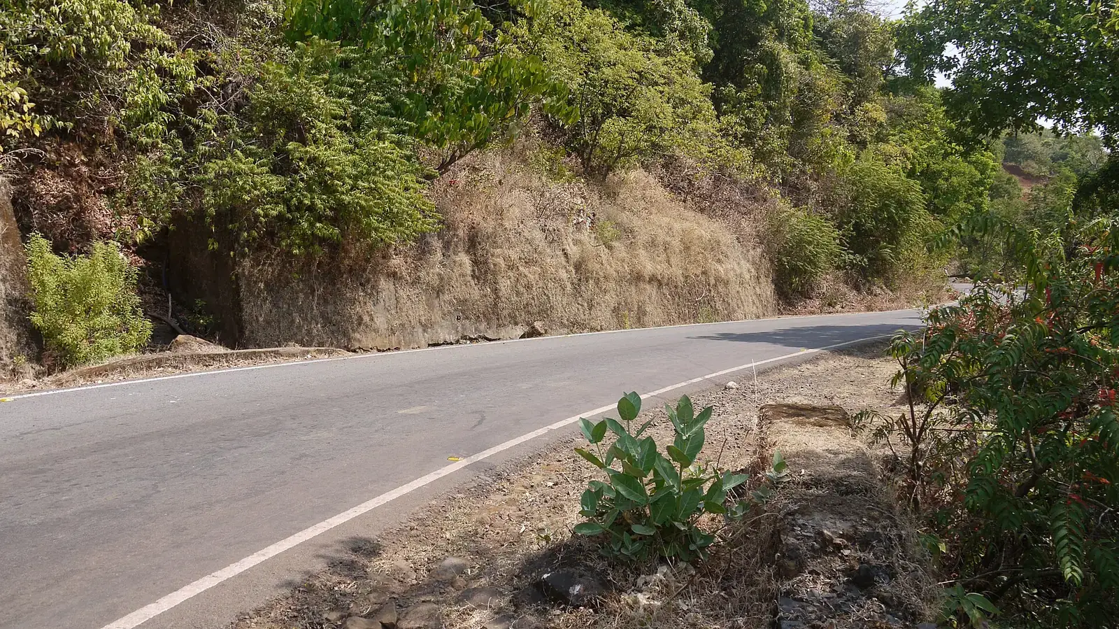 The road through Chorla Ghat on the Karnataka–Goa border
