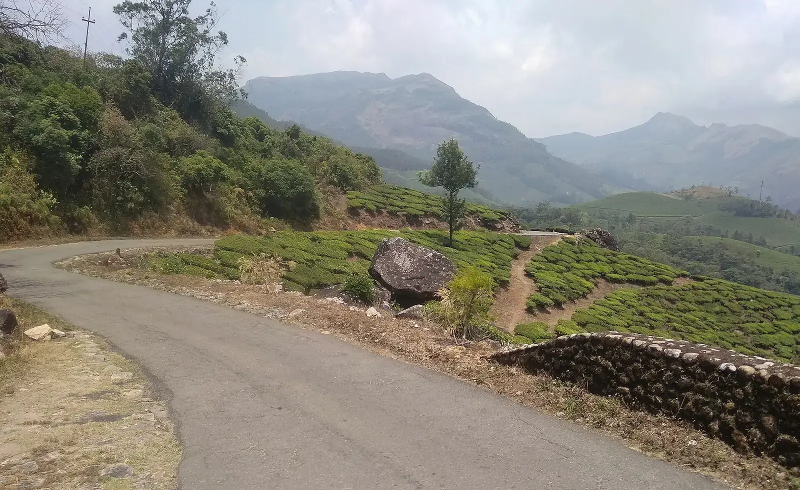 A road through the tea estates of Munnar, Kerala