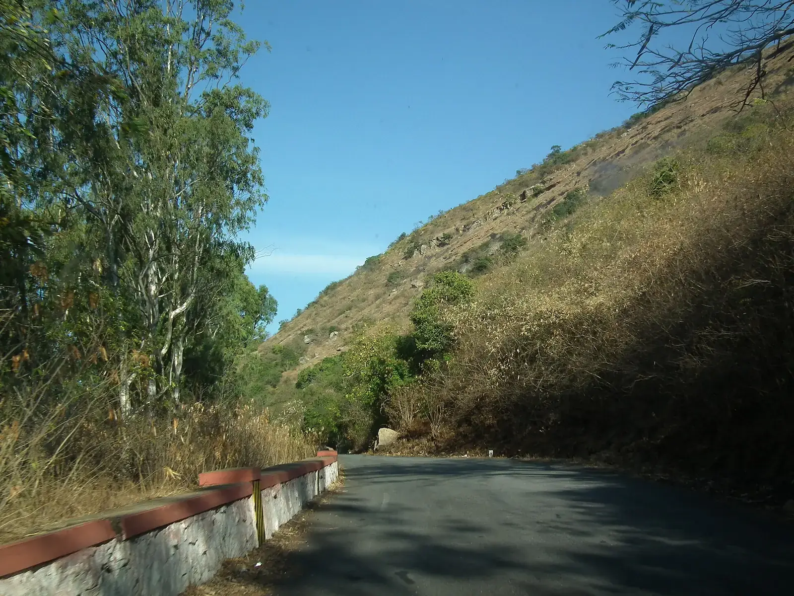 The road up Nandi Hills near Bengaluru