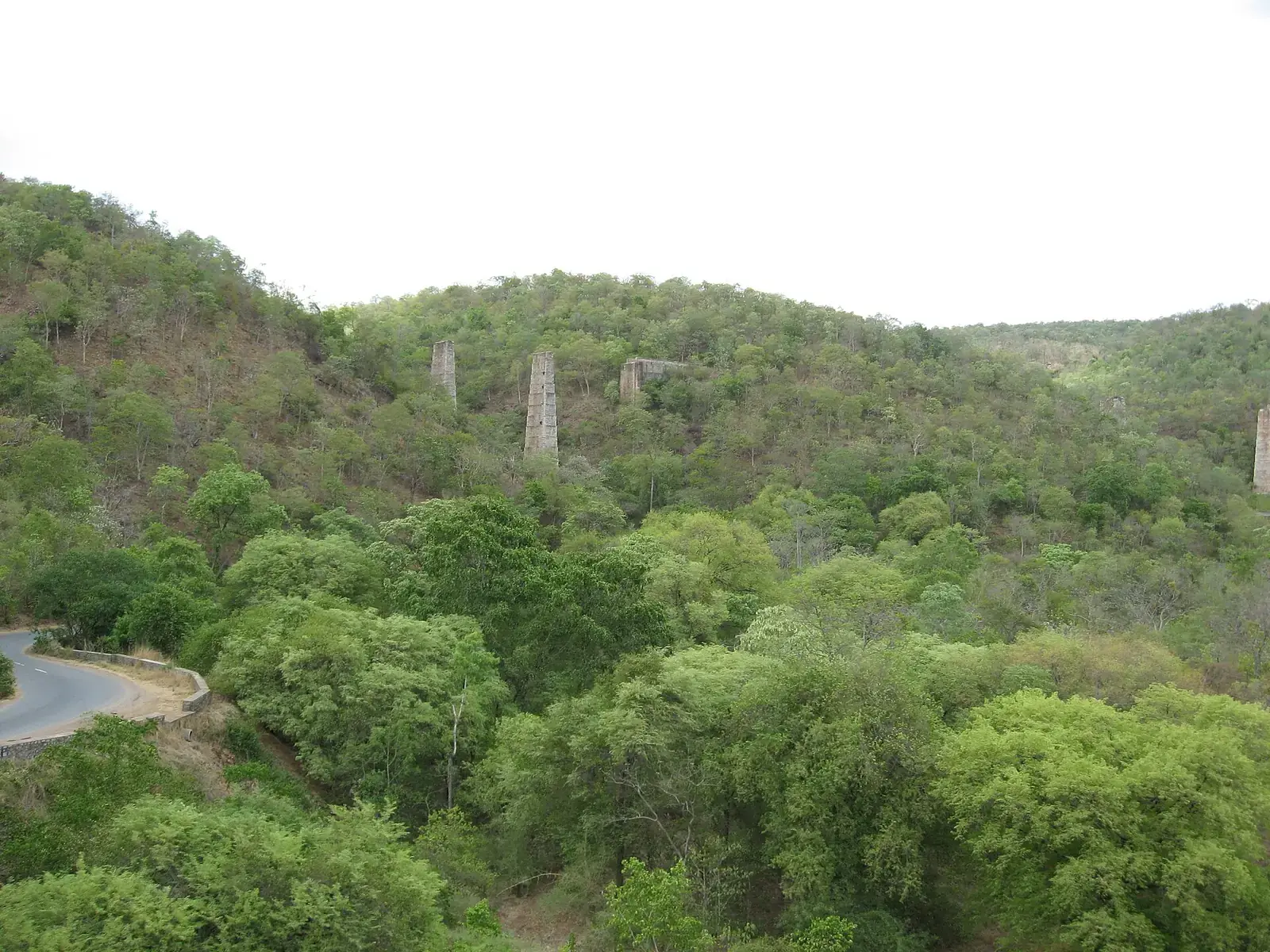 The Nallamala hills on the road to Srisailam