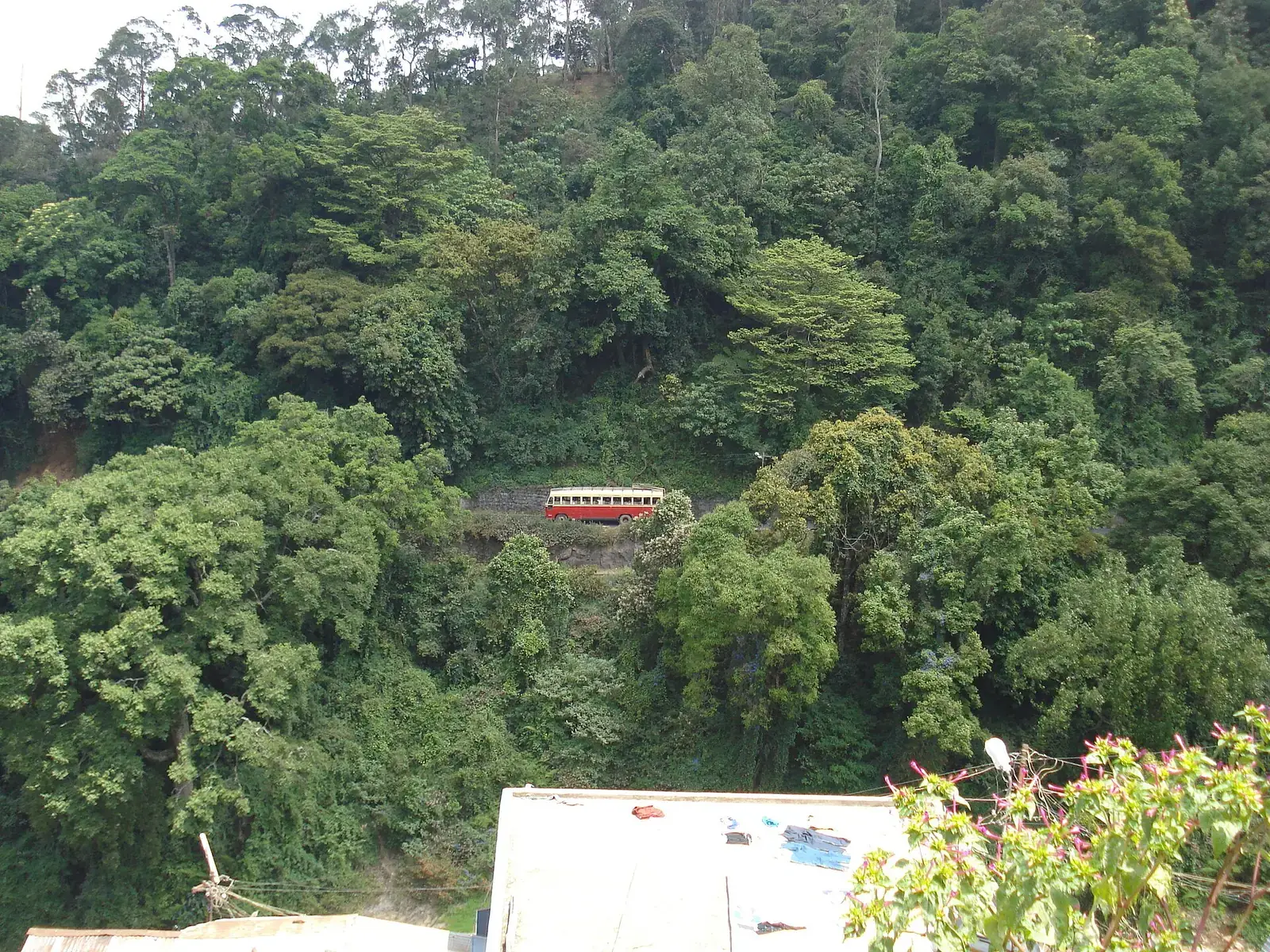 A bus on a forested ghat road in the Nilgiris
