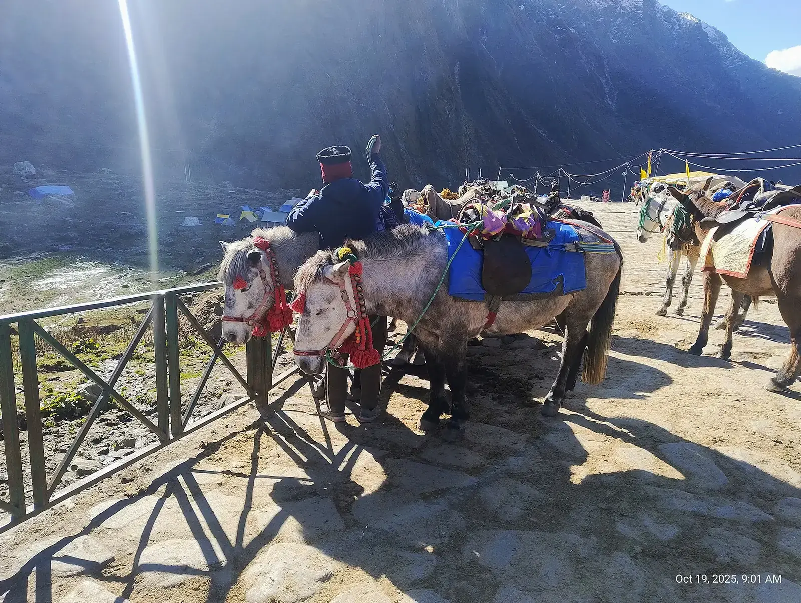 Mules waiting at a transit point on the Kedarnath trek route