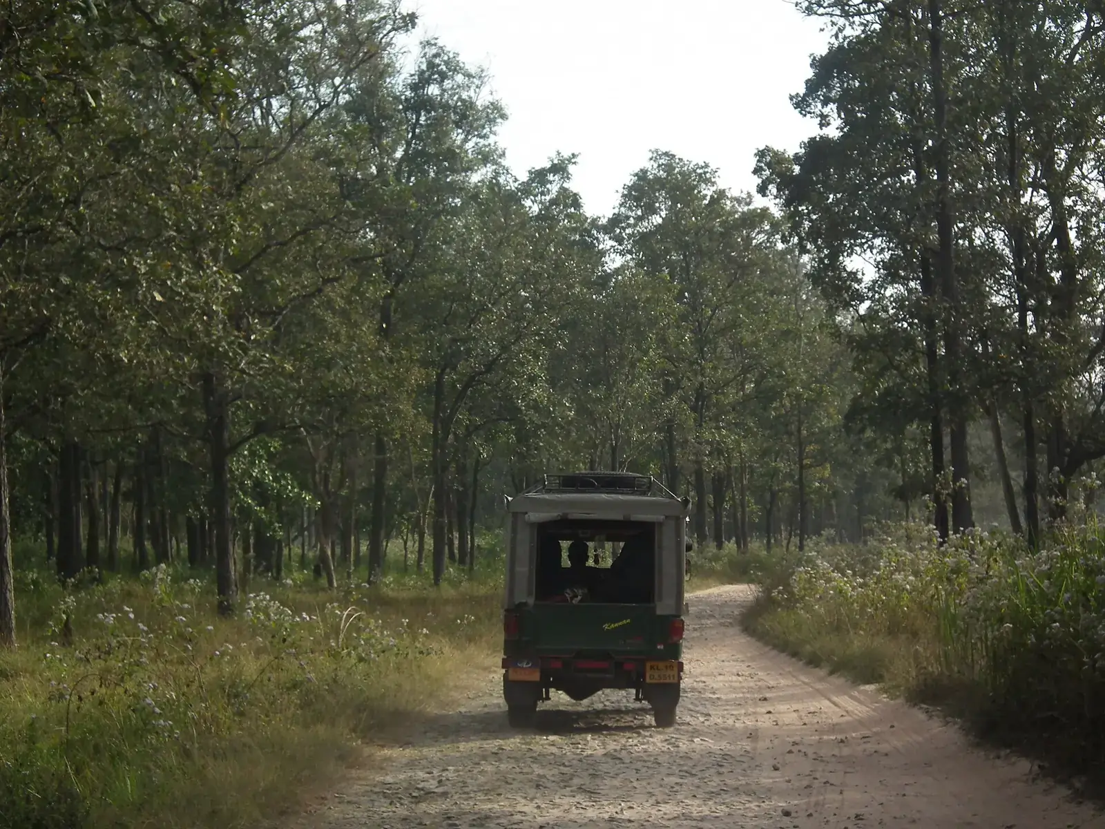 A safari jeep on a forest track in Wayanad Wildlife Sanctuary